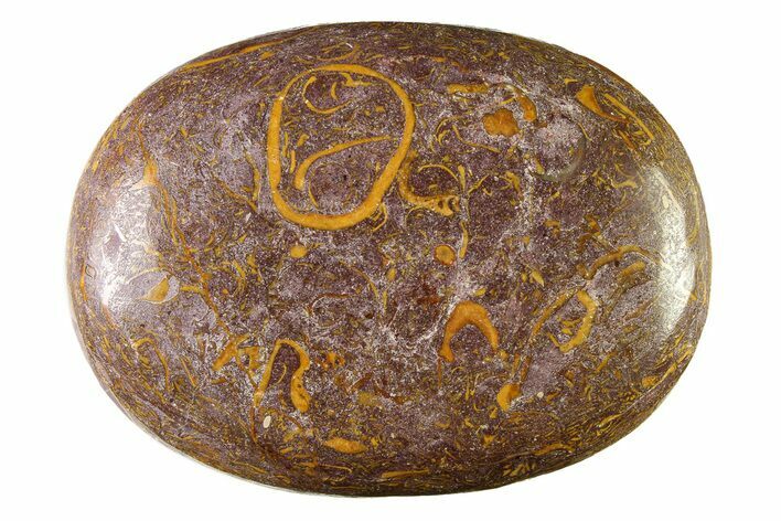 Polished Miriam Stone Palm Stone - India #342300